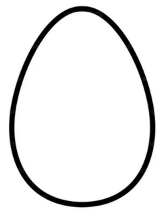 egg